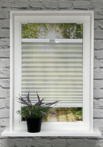 Pleated blind Miss Madagascar White