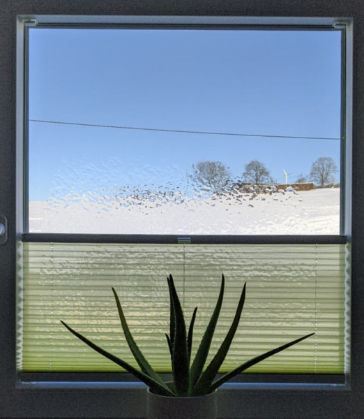 Pleated blind Miss Madagascar Green