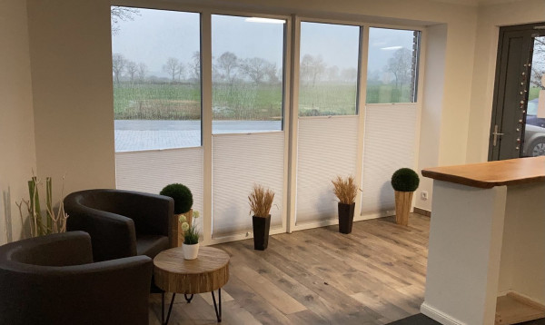 Honeycomb pleated blind Zorba light gray