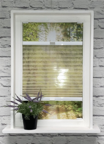 Pleated blind Jazz Transparent Beige