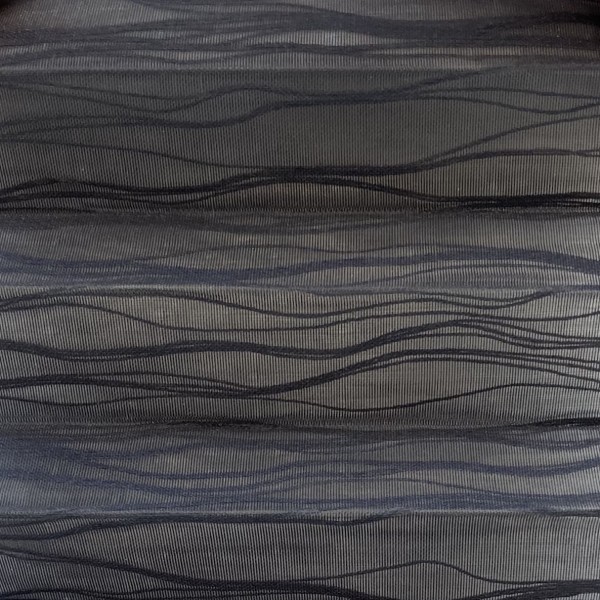 Pleated blind Ballet Transparent Black