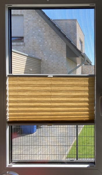 Pleated blind Madagascar pearl toffee