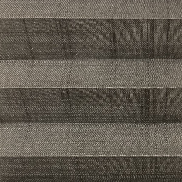 Pleated blind Waltz transparent anthracite