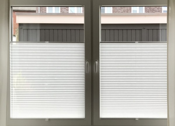 Pleated blind Transparent Jazz White