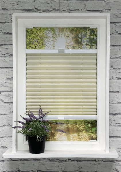 Pleated blind Samba Pearl Cream