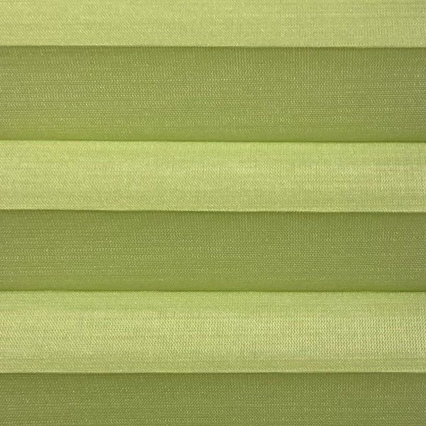 Pleated blind Miss Madagascar Green