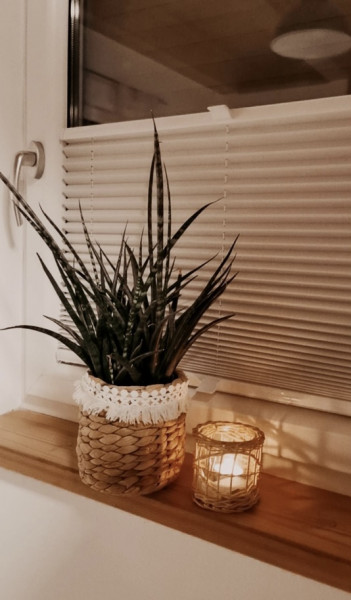 Pleated blind Marica cream