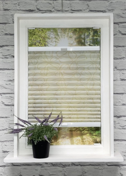 Pleated blind Clover white-honey