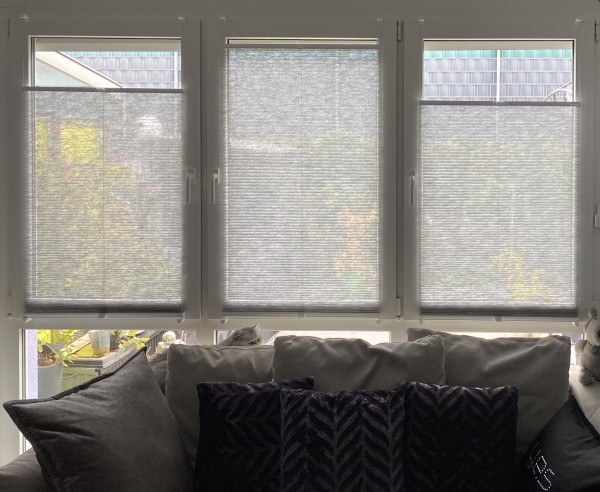 Honeycomb pleated blind Rueda transparent silver