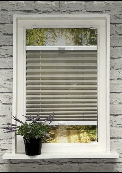 Pleated blind Waltz transparent light gray