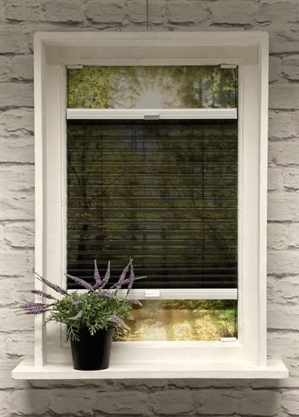 Pleated blind Transparent Jazz Black