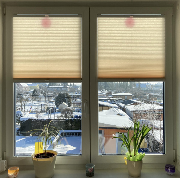 Honeycomb pleated blind Lambada Beach