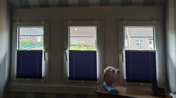 Pleated blind Royal pearl dark blue