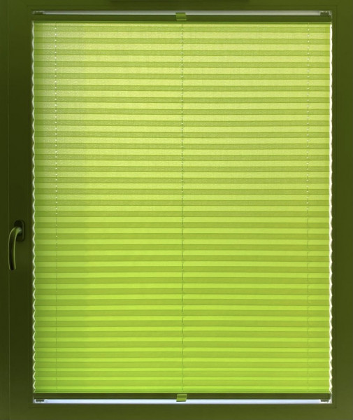 Pleated blind Samba Green