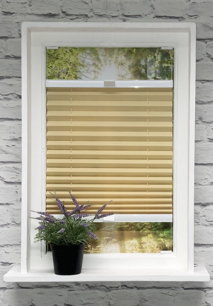 Pleated blind Kyoto Pearl Gold