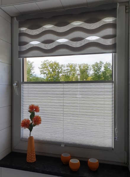 Pleated blind Ballet Transparent Gray