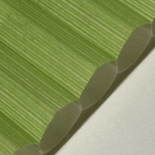 Honeycomb pleated blind Zorba Green