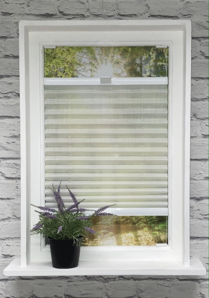 Pleated blind Waltz Transparent White