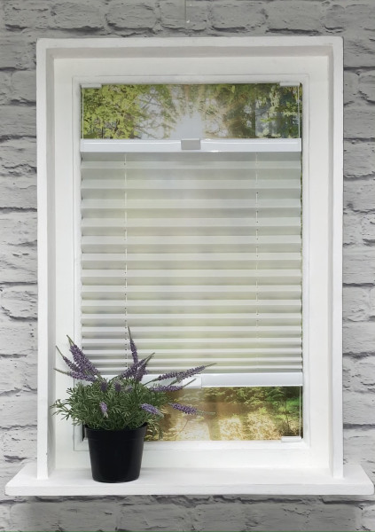 Pleated blind Sina White