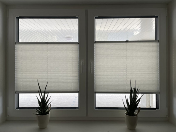 Pleated blind Sahara light gray