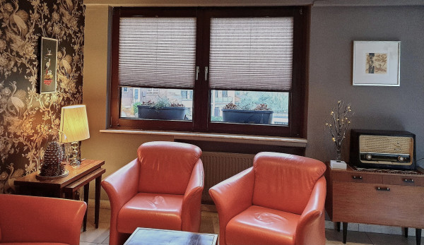 Pleated blind Crush pearl gray-brown