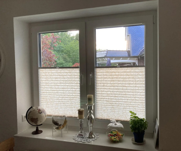 Pleated blind Clover white-honey