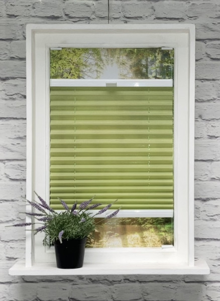 Pleated blind Miss Madagascar Green