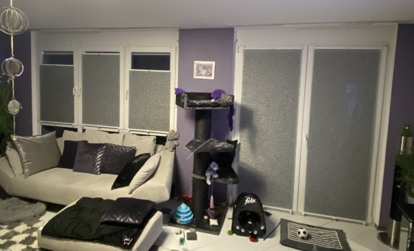 Honeycomb pleated blind Rueda transparent silver