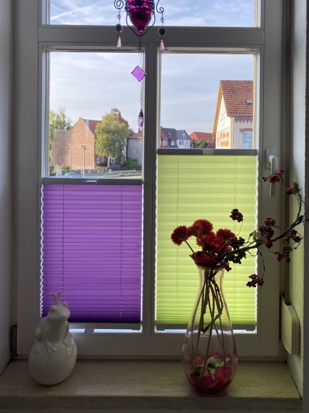 Pleated blind Kyoto Perl Green