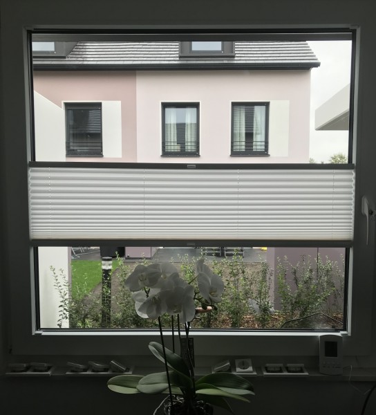 Pleated blind Kyoto Perl White