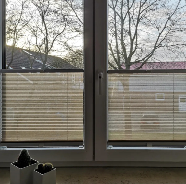 Pleated blind Jazz Transparent Brown