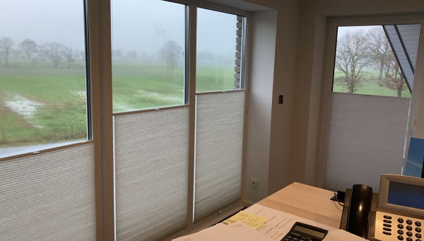 Honeycomb pleated blind Zorba light gray