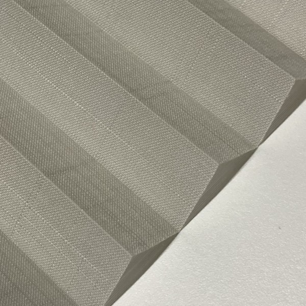 Pleated blind Waltz transparent light gray