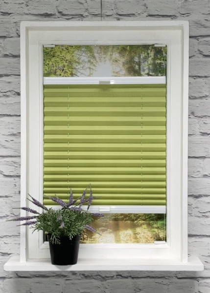 Pleated blind Kyoto Solo Green