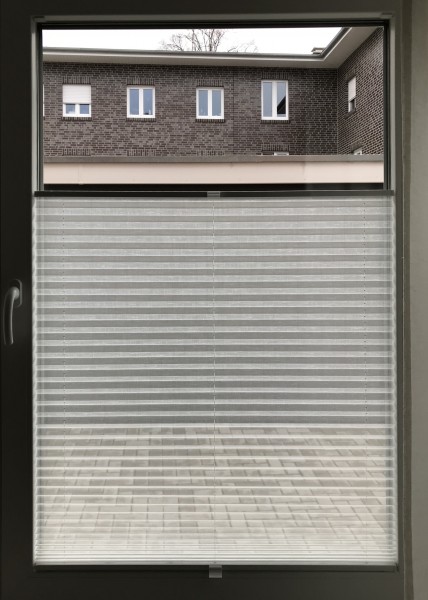 Pleated blind Transparent Jazz White