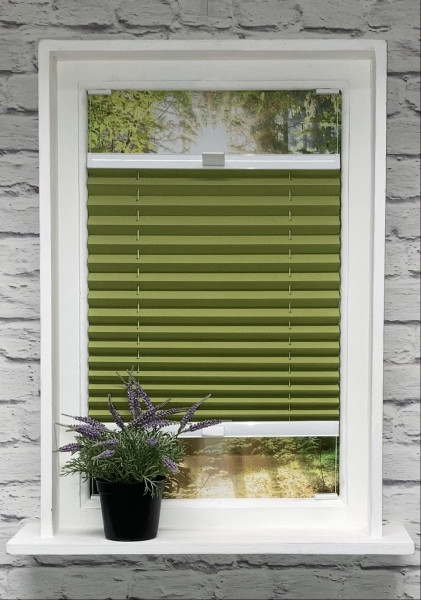 Pleated blind Sunset Blackout Green