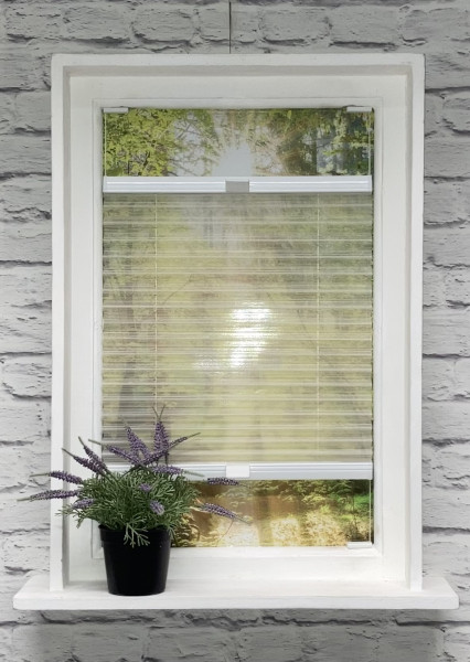 Pleated blind Boston transparent cream-white