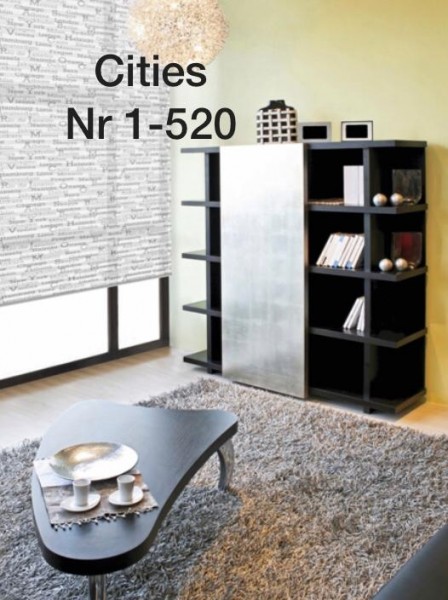 Pleated blind City's gray