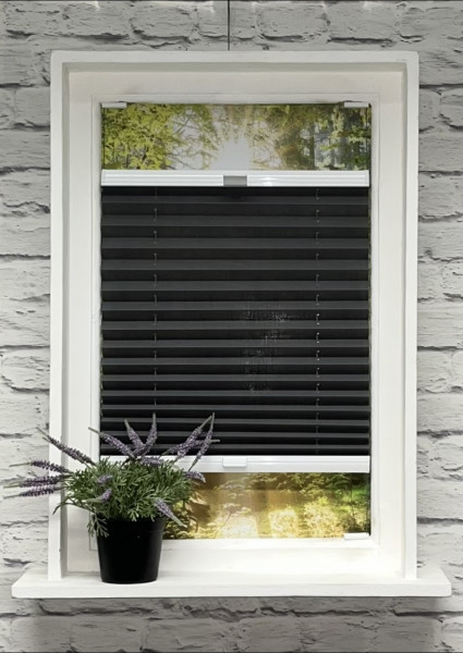 Pleated blind Waltz transparent anthracite